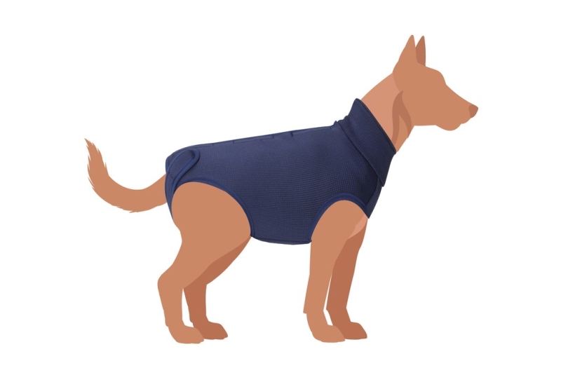 CAMON TUTINA POST OPERATORIA EXCLUSIVE BLU 