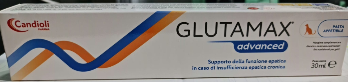 CANDIOLI GLUTAMAX ADVANCED GATTI 