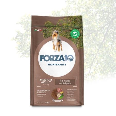 FORZA 10 MEDIUM ADULT AGNELLO DRY Cani