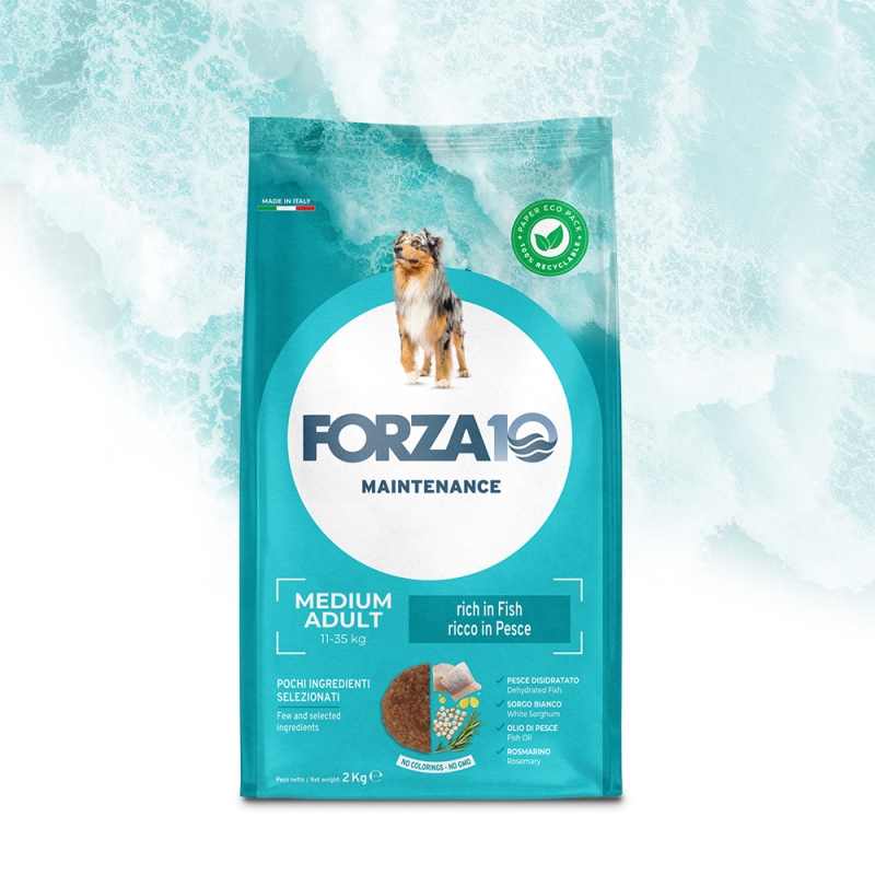 FORZA 10 MEDIUM ADULT PESCE DRY 