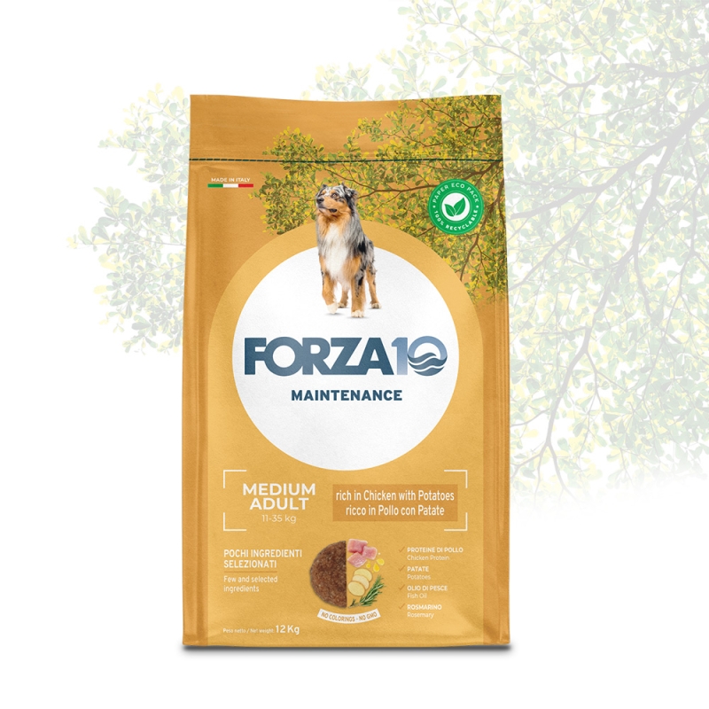 FORZA 10 MEDIUM ADULT POLLO E PATATE DRY 