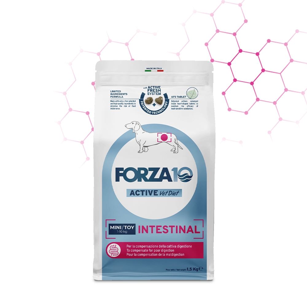 FORZA 10  ACTIVE VET DIET INTESTINAL MINI/TOY ADULT PESCE DRY 