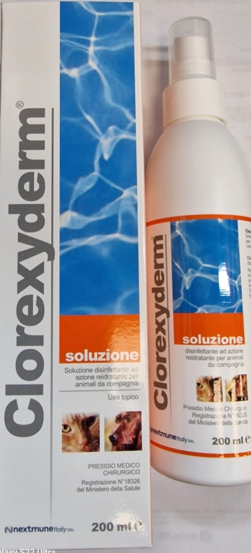 I.C.F. CLOREXYDERM SOLUZIONE SPRAY 
