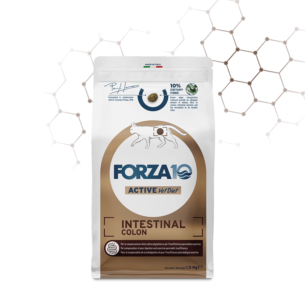 FORZA 10 ACTIVE VET DIET INTESTINAL COLON GATTO ADULTO 
