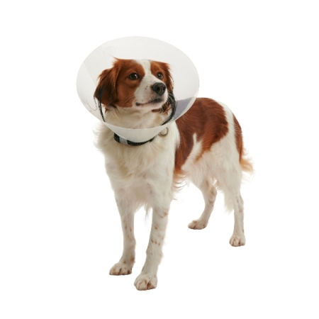 COLLARE ELISABETTA CLIC TRASPARENTE Cani