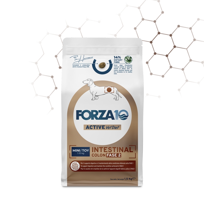 FORZA 10 ACTIVE VET DIET INTESTINAL COLON FASE 2 MINI/TOY PESCE DRY 
