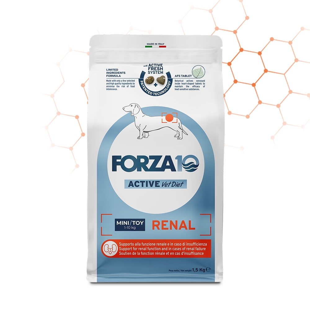 FORZA 10 ACTIVE VET DIET RENAL MINI/TOY PESCE DRY 