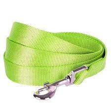 GUINZAGLIO LAISSE LIME Cani