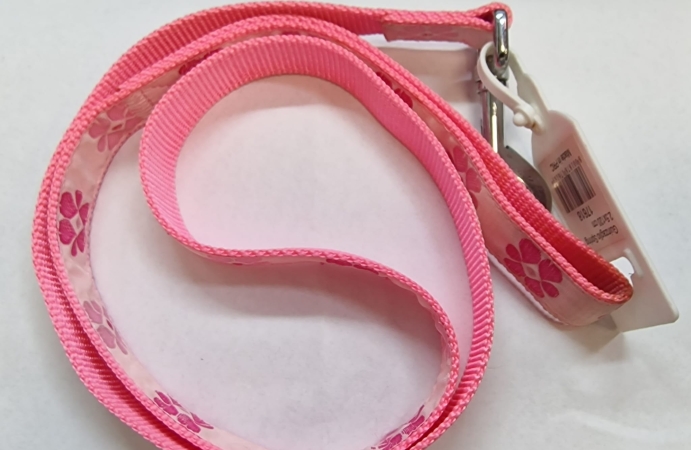 GUINZAGLIO SPRING Cani