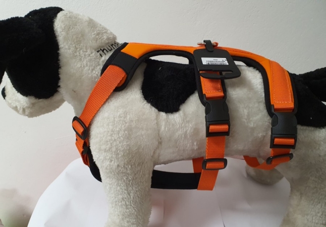 PETTORINA PRATIKO ENERGY ANTIFUGA LYCRA Cani