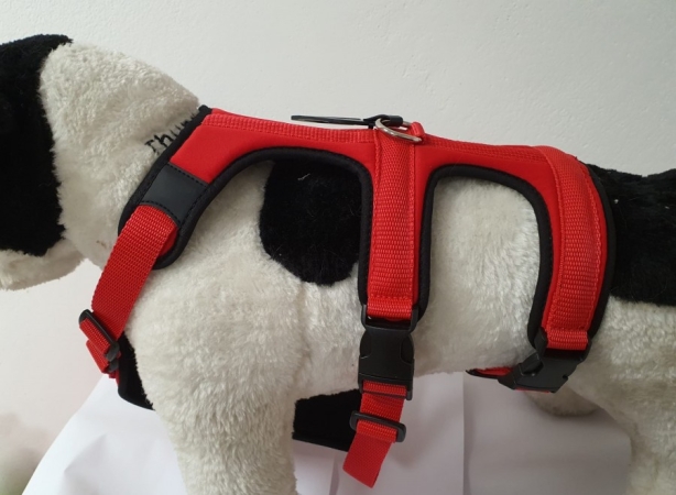 PETTORINA PRATIKO ENERGY ANTIFUGA LYCRA Cani