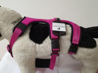 PETTORINA PRATIKO ENERGY ANTIFUGA LYCRA Cani