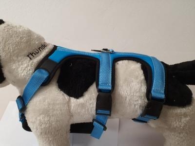 PETTORINA PRATIKO ENERGY ANTIFUGA LYCRA Cani