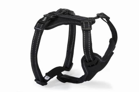 CAMON PETTORINA NEOPRENE 4 REGOLAZIONI REFLEX NERA M Cani