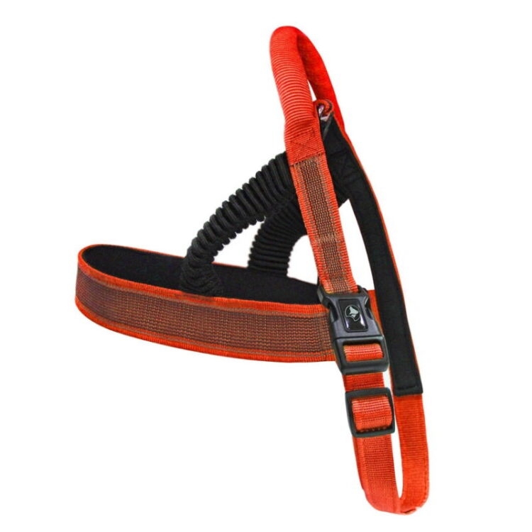 PETTORINA ELASTICIZZATO VENTURE 20X600 710 MM ROSSO 