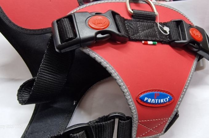 PETTORINA HANATOMIKA BULL DOG INGLESE Cani