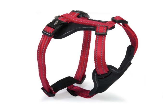 CAMON PETTORINA NEOPRENE 4 REGOLAZIONI REFLEX ROSSA M Cani