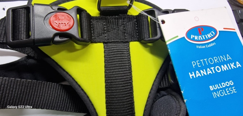 PETTORINA HANATOMIKA BULL DOG INGLESE  E PICCOLI MOLOSSOIDI LYCRA Cani