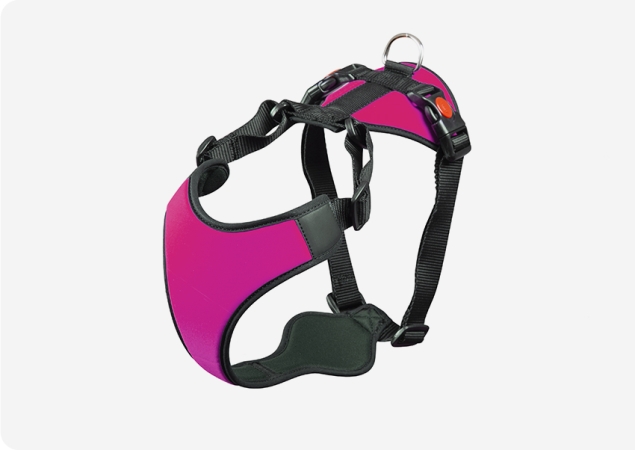 PETTORINA HANATOMIKA BULL DOG INGLESE  E PICCOLI MOLOSSOIDI LYCRA Cani