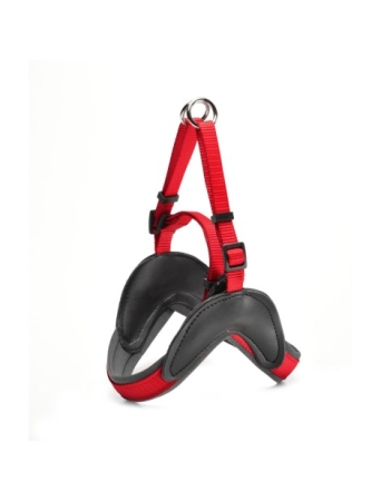 PETTORINA NYLON EASY CON NEOPRENE ROSSO Cani