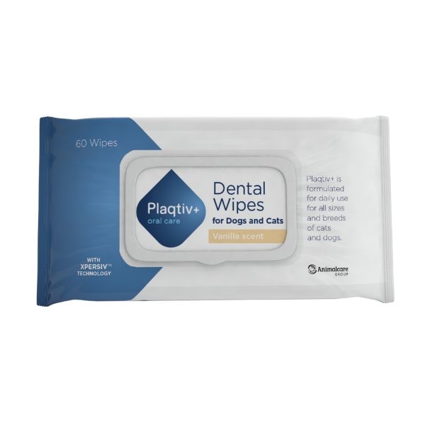 ECUPHAR NV SALVIETTE DENTALI PLAQTIV + ORAL CARE 64 