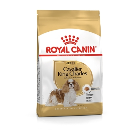 ROYAL CANIN CAVALIER KING CHARLES ADULT Cani