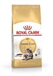 ROYAL CANIN MAINE COON FELINE Gatti
