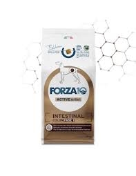 FORZA 10 CANE INTESTINAL COLON  FASE 1 AGNELLO E SORGO BIANCO DRY Cani
