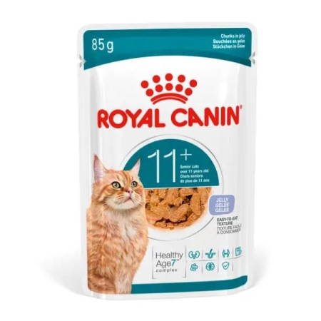 ROYAL CANIN CAT AGEING 11 + IN JELLY Gatti