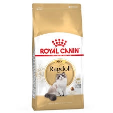ROYAL CANIN ADULT RAGDOLL 