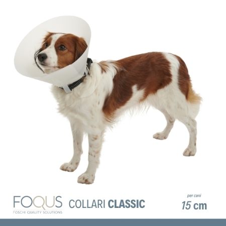 COLLARE FOQUS ELISABETTA CLASSIC Cani