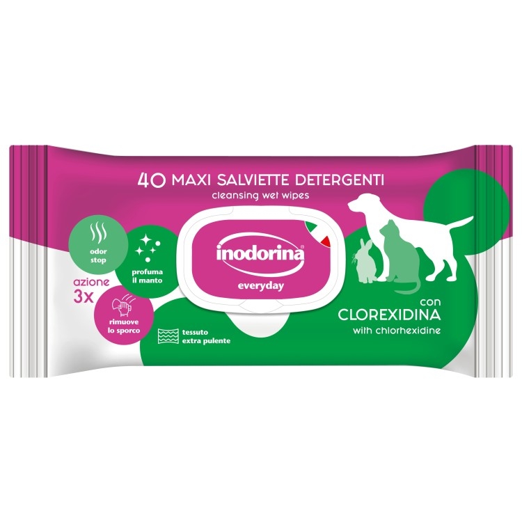 INODORINA SALVIETTE DETERGENTI EVERYDAY CON CLOREXIDINA 