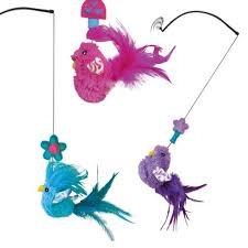 KONG CAT WINDOW TEASER Gatti