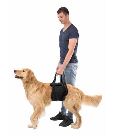 TRIXIE IMBRACATURA A FASCIA L - XL Cani