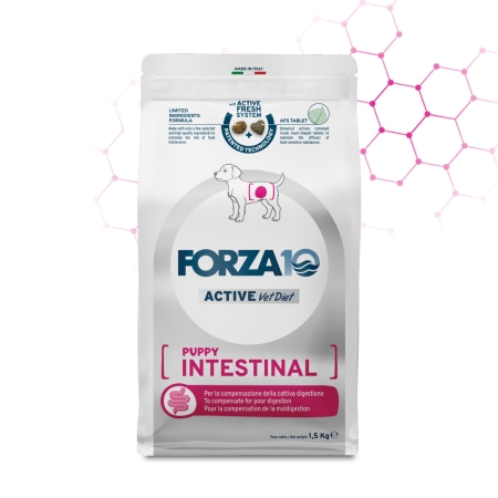 FORZA 10 ACT INTESTINAL DOG PUPPY PESCE DRY Cani