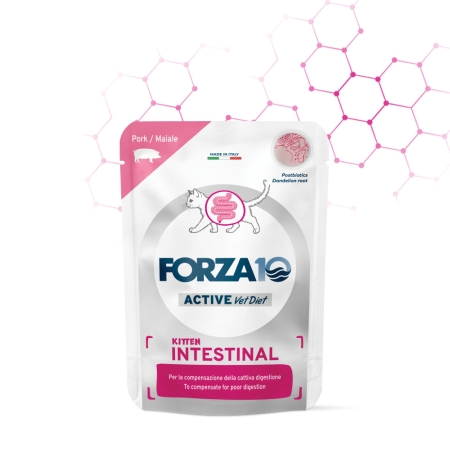FORZA 10 ACTIVE INTESTINAL KITTEN MAIALE Gatti