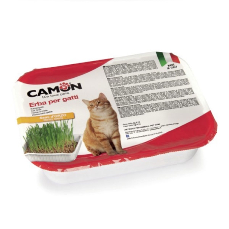 CAMON ERBA PER GATTI CON SEMI DI ORZO Gatti