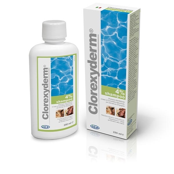 I.C.F. CLOREXYDERM SHAMPOO 4% 