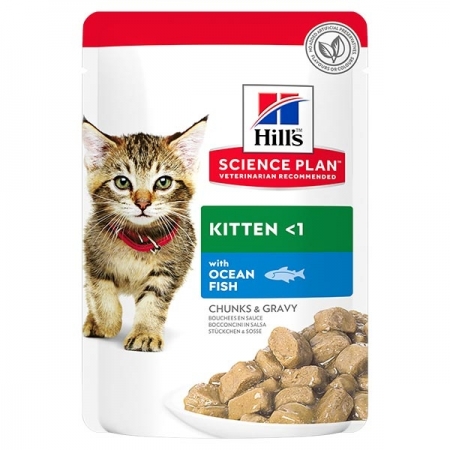 HILL'S SCIENCE PLAN KITTEN CON PESCE OCEANICO Gatti