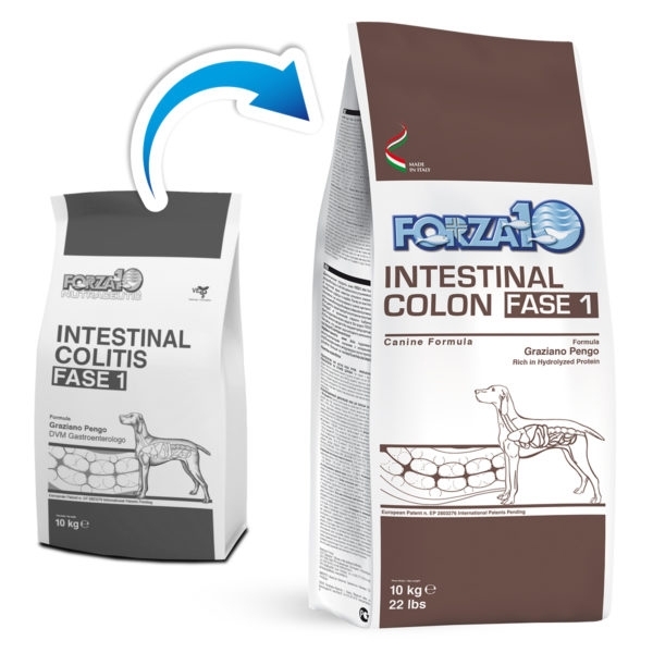 FORZA 10 ACTIVE INTESTINAL COLON FASE 1 