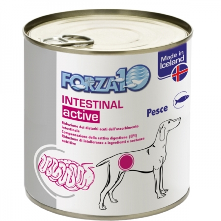 FORZA 10 ACTIWET INTESTINAL ACTIVE AL PESCE Cani