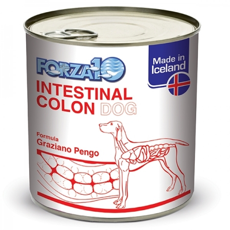 FORZA 10 ACTIWET INTESTINAL COLON Cani