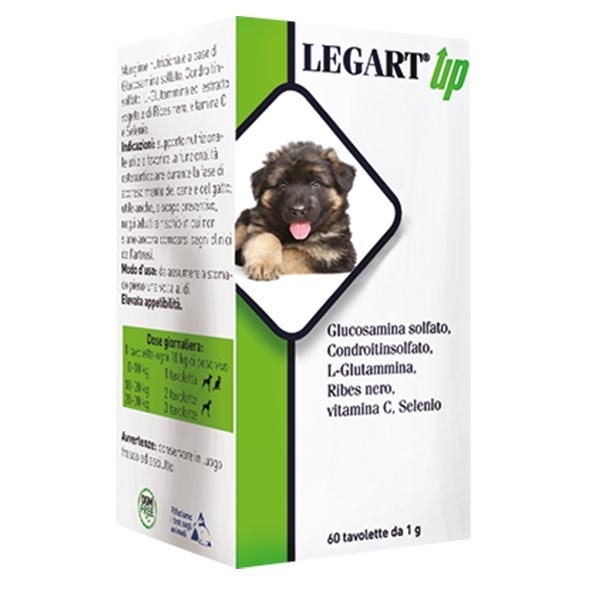 LEGART UP 60 COMPRESSE 1 GR 