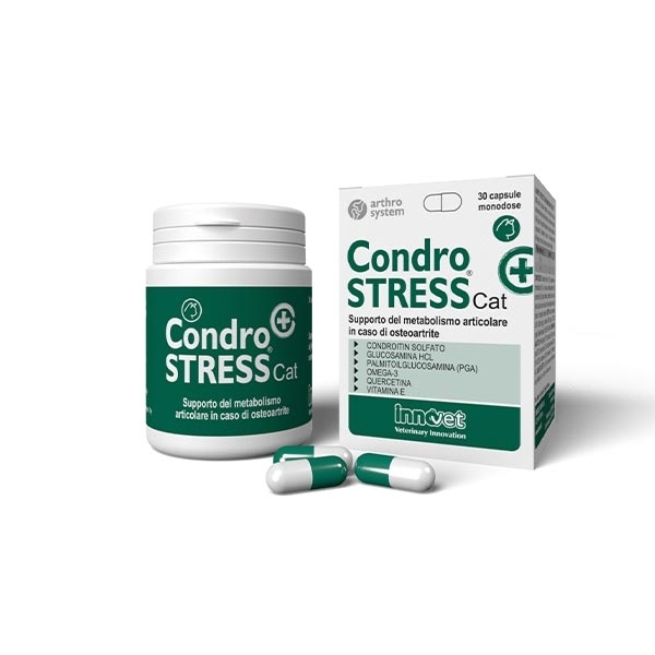 CONDROSTRESS (+) CAT