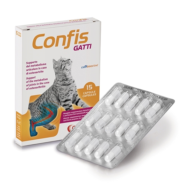 CANDIOLI CONFIS GATTI 