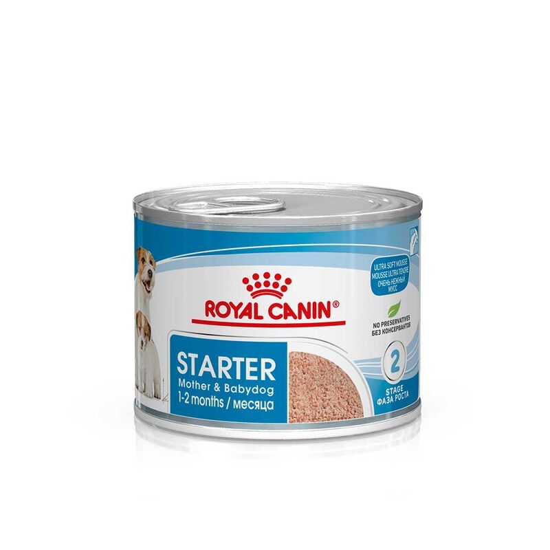 ROYAL CANIN STARTER  MOTHER & BABYDOG MOUSSE