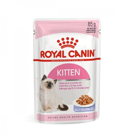 ROYAL KITTEN INSTINCTIVE IN JELLY Gatti