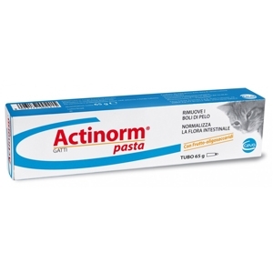 ACTINORM PASTA GATTI 