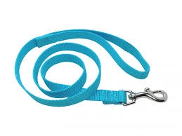 GUINZAGLIO LAISSE TURCHESE Cani