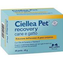 NBF LANES CIELLEA PET RECOVERY 